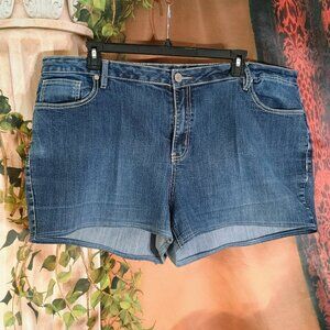 Avenue Denim Sz 26 Blue High Rise Jean Shorts